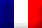 French flag icon